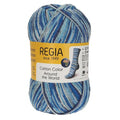 Regia Cotton Color sokkengaren